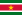 Suriname Apostille